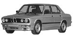 BMW E28 P253C Fault Code